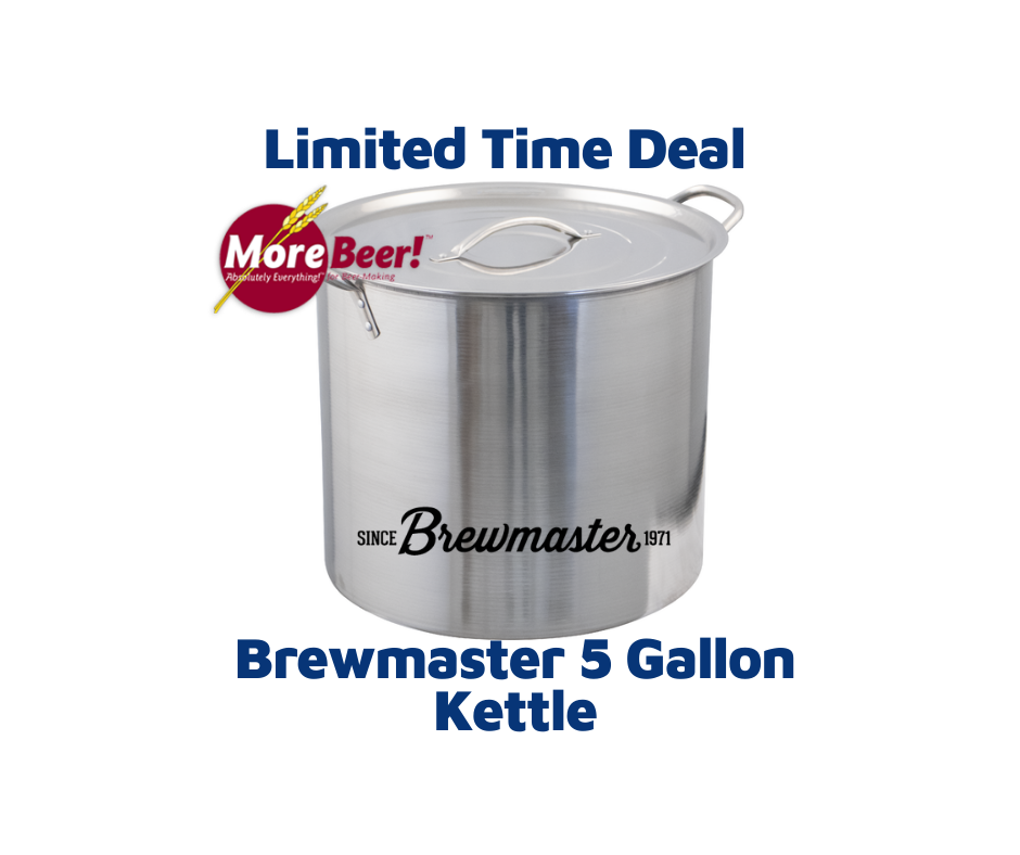 Brewmaster 5 Gallon Stainless Steel Kettle BE300