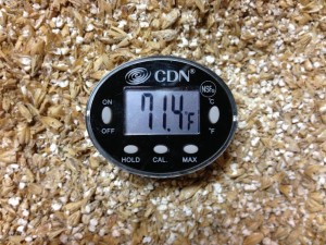 CDN DTQ450X ProAccurate Thermometer