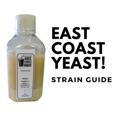 east coast yeast strain guide