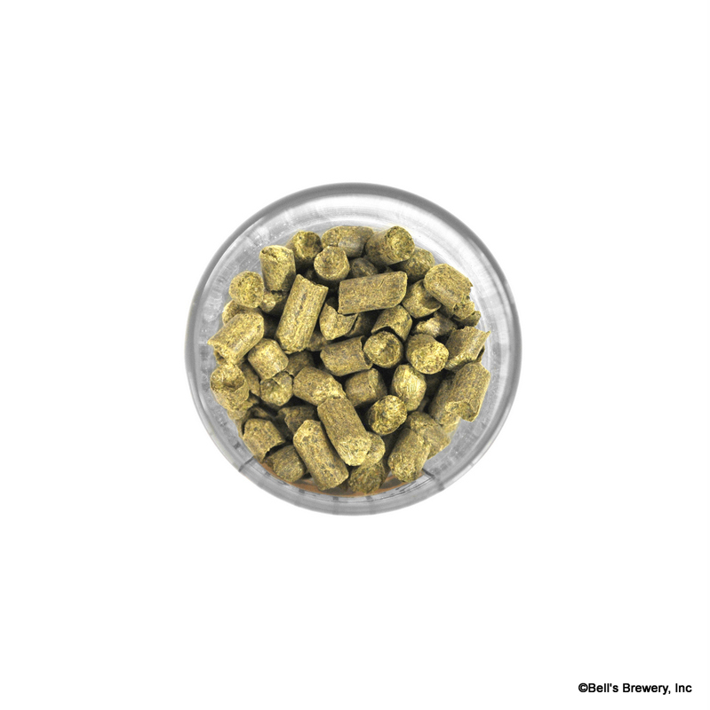 citra pellet hops homebrewing