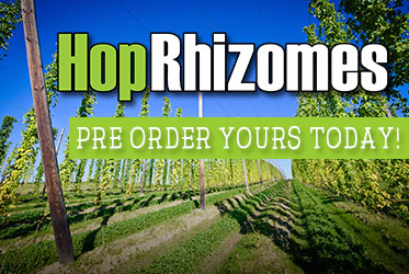 grow your own hops rhizomes