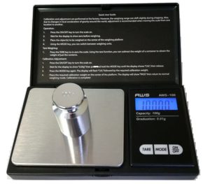 American Weigh Scales 100G X 0.01G Digital Scale, With Seaside 100 G Stainless Steel Calibration Weight