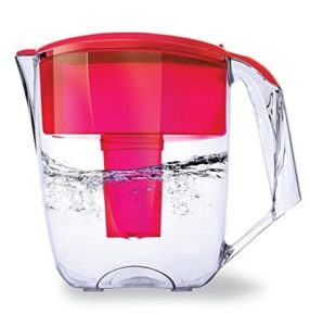 Ecosoft Water Filter Pitcher Jug - BPA-Free - Patent Commercial Grade Ecomix Filter Cleaners - 8 Cups Purified Water, 10 Cup Capacity with 1 Free Cartridge for Home Filtration, Red