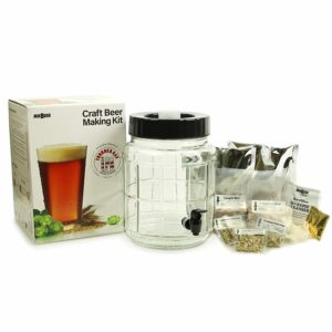Mr. Beer Thunder Bay IPA 1 Gallon Craft Beer Making Kit With Glass Fermenter and Thunder Bay IPA Specialty Grain Recipe