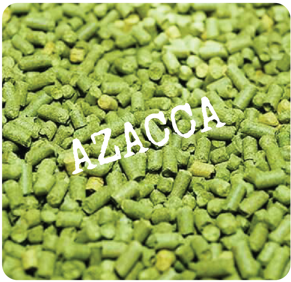 *2019 Crop* Azacca Hop Pellets 1 pound for Home Brew 509hops