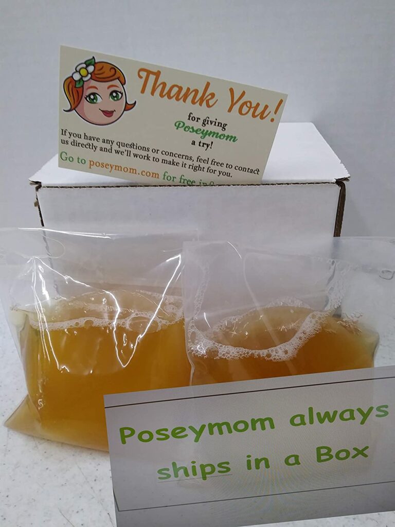 Poseymom Double Pack Kombucha Scobies and Starter Tea | (No Vinegar or Artificial Flavors Added) (Make 1/2 Gallon (1/2Cup Starter)Each