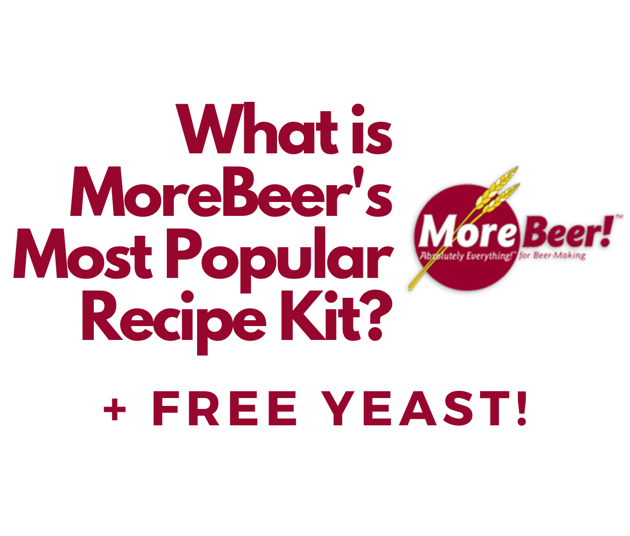 popular morebeer.com recipes
