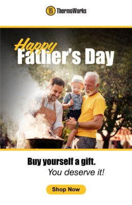 thermoworks fathers day sale