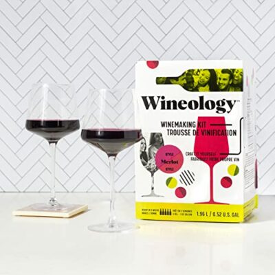 Wineology All-In-One Wine Making Kit (Merlot Red Wine, 1) 