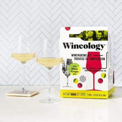 Wineology All-in-One Wine Making Kit (Pinot Grigio White Wine, 1)